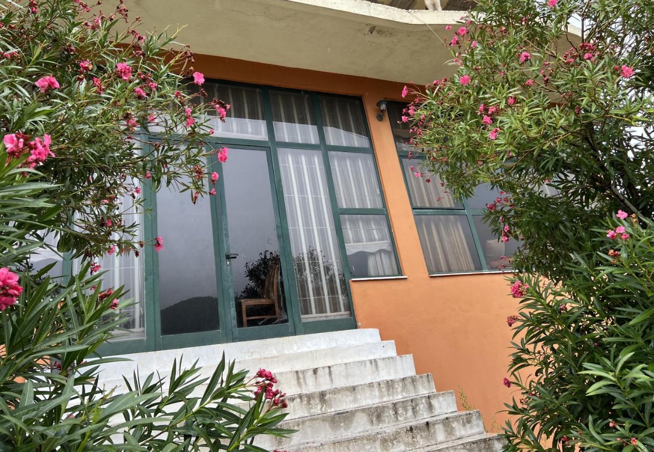 Montagna Hostel, And Campsite Motel
