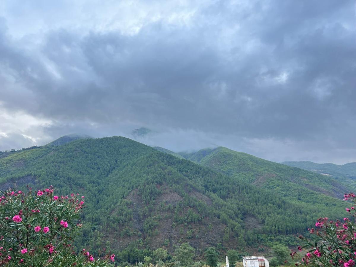 Montagna Hostel, And Campsite Motel *